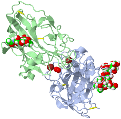 Image Biological Unit 5