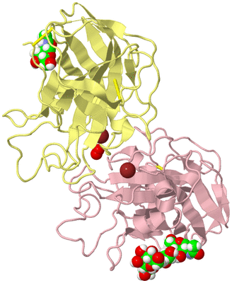 Image Biological Unit 6