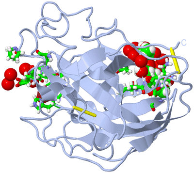 Image Biol. Unit 1 - sites