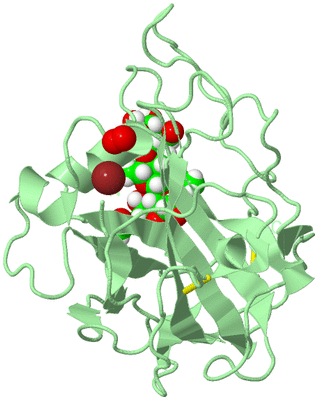 Image Biological Unit 2