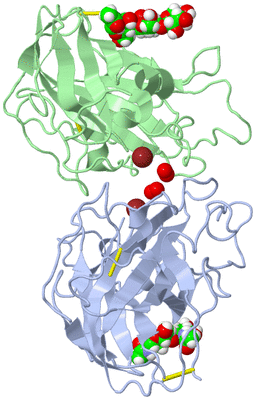 Image Biological Unit 3