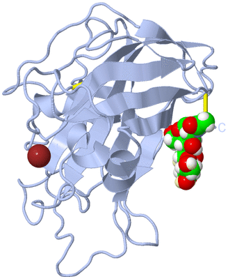 Image Biological Unit 1