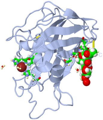 Image Biol. Unit 1 - sites