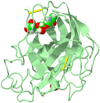 Image Biological Unit 2