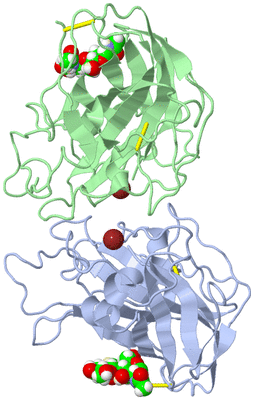 Image Biological Unit 3