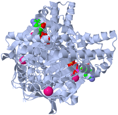 Image Biological Unit 1