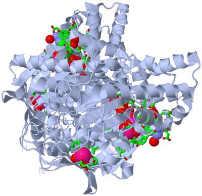 Image Biol. Unit 1 - sites