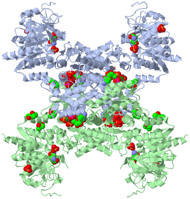 Image Biological Unit 1