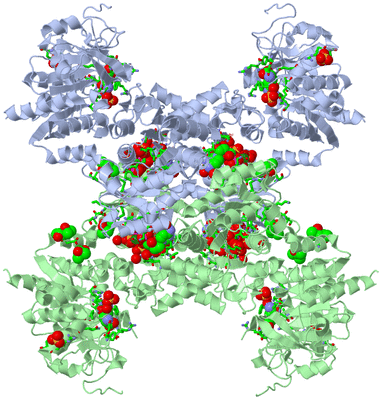 Image Biol. Unit 1 - sites