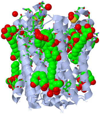 Image Biol. Unit 1 - sites