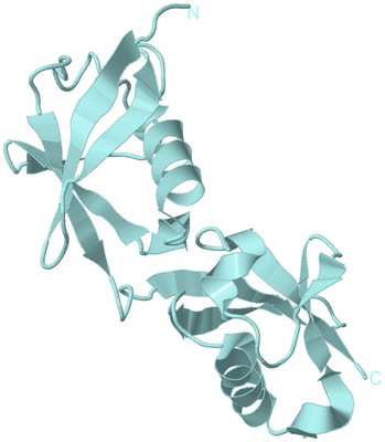 Image Biological Unit 6