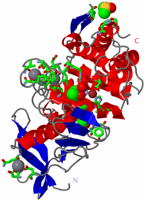 Image Asym./Biol. Unit - sites