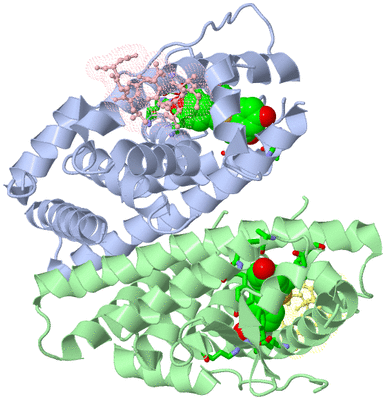 Image Asym./Biol. Unit - sites