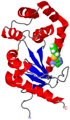 Image NMR Structure - model 1