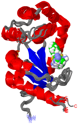 Image NMR Structure - all models