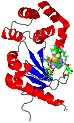 Image NMR Structure - model 1, sites