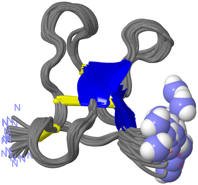 Image NMR Structure - all models