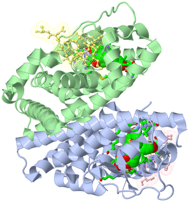 Image Asym./Biol. Unit - sites