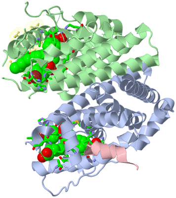 Image Asym./Biol. Unit - sites