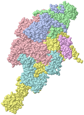 Image Asym./Biol. Unit