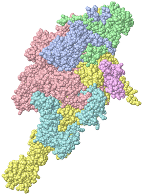 Image Asym./Biol. Unit