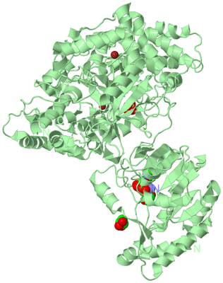 Image Biological Unit 2