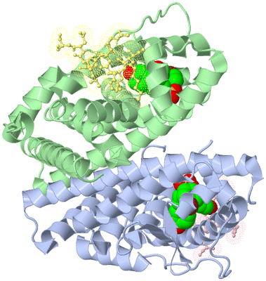 Image Asym./Biol. Unit