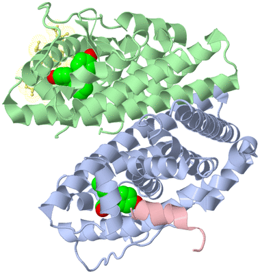 Image Asym./Biol. Unit