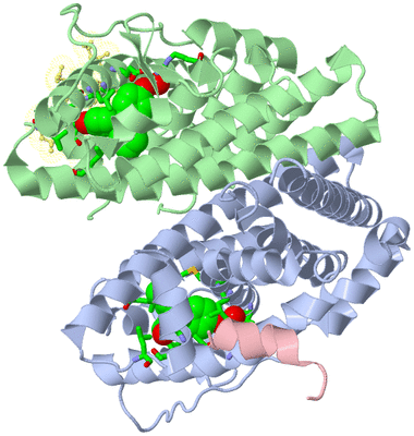 Image Asym./Biol. Unit - sites