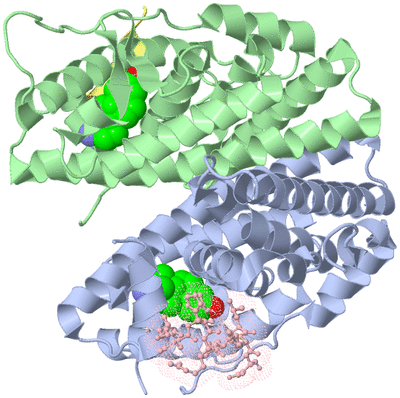 Image Asym./Biol. Unit