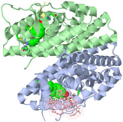 Image Asym./Biol. Unit - sites