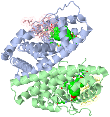 Image Asym./Biol. Unit - sites