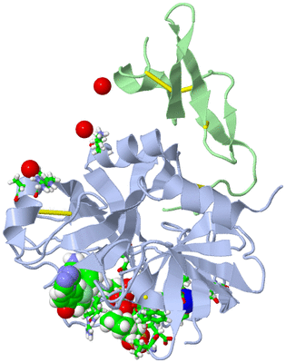 Image Asym./Biol. Unit - sites