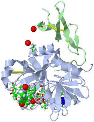 Image Asym./Biol. Unit - sites