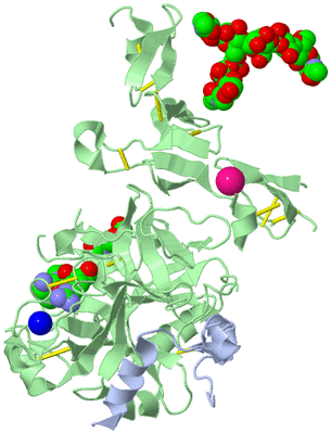 Image Asym./Biol. Unit