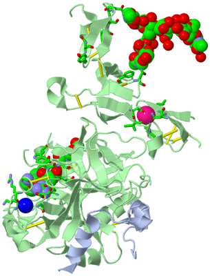 Image Asym./Biol. Unit - sites