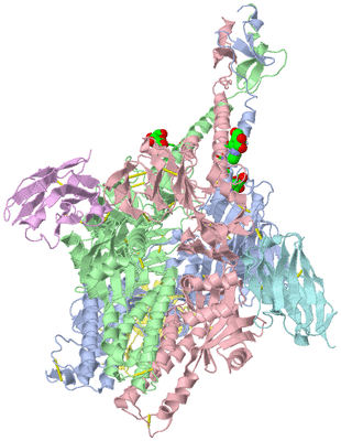 Image Asym./Biol. Unit - sites