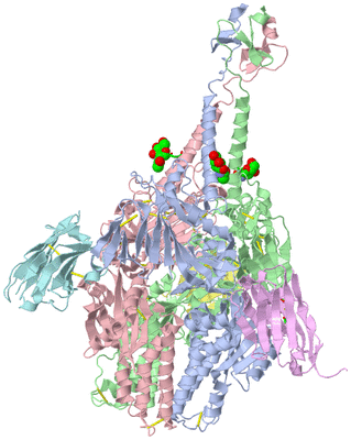 Image Asym./Biol. Unit - sites