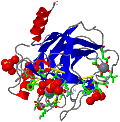 Image Asym./Biol. Unit - sites