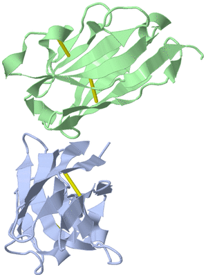 Image Asymmetric Unit