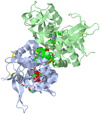 Image Asym./Biol. Unit - sites