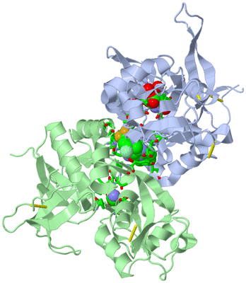 Image Asym./Biol. Unit - sites