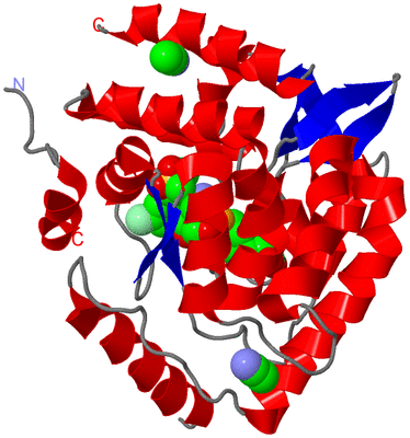 Image Asym./Biol. Unit