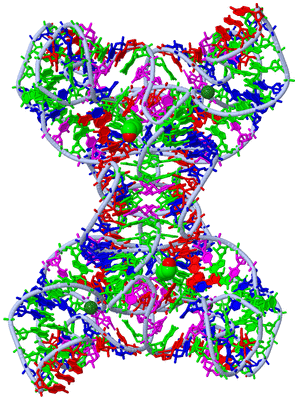 Image Biological Unit 1