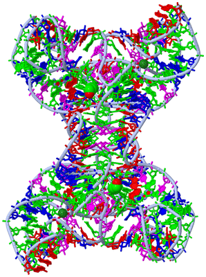 Image Biol. Unit 1 - sites