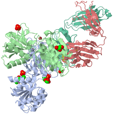 Image Asym./Biol. Unit