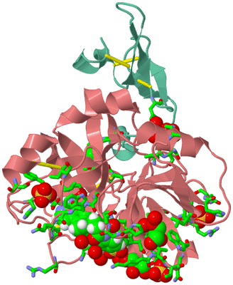 Image Asym./Biol. Unit - sites