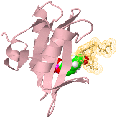 Image Biological Unit 3