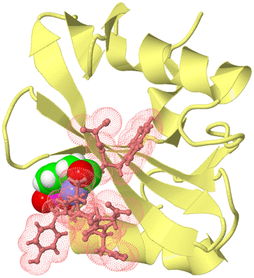 Image Biological Unit 4