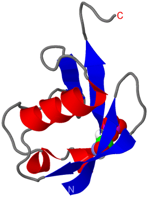 Image NMR Structure - model 1